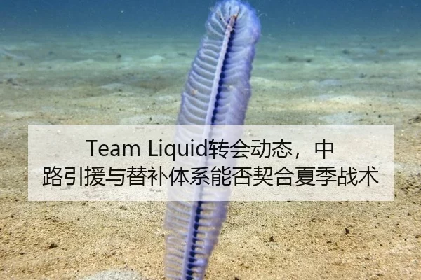 Team Liquid转会动态，中路引援与替补体系能否契合夏季战术